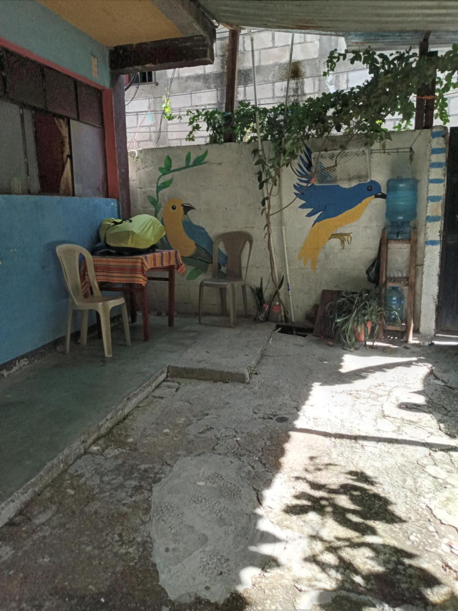 パナハチェルHouse Zopeアパートメント エクステリア 写真
